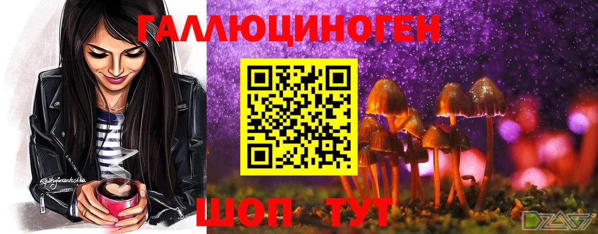 Луховицы  Галлюциногенные грибы ЛСД  Вход с VPN 